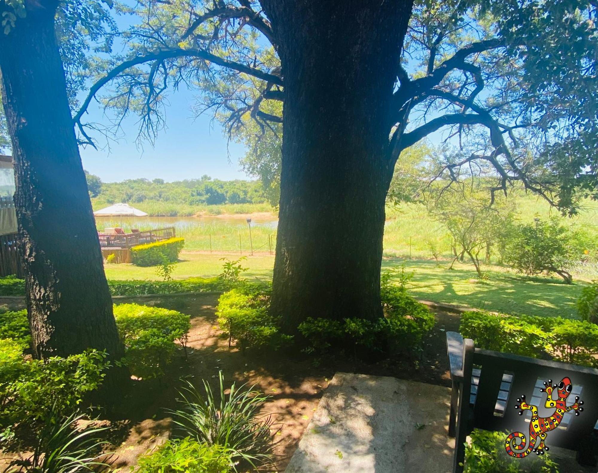 Sabie River Bush Lodge Hazyview Exterior photo